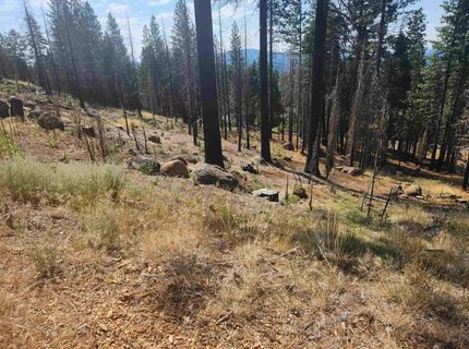 512 Eagle Crest Drive, Lake Almanor, CA 96020 Photo