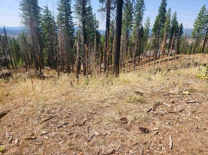 512 Eagle Crest Drive, Lake Almanor, CA 96020 Photo