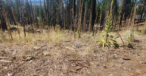 512 Eagle Crest Drive, Lake Almanor, CA 96020 Photo
