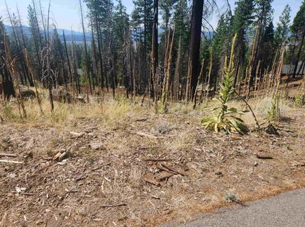 512 Eagle Crest Drive, Lake Almanor, CA 96020 Photo