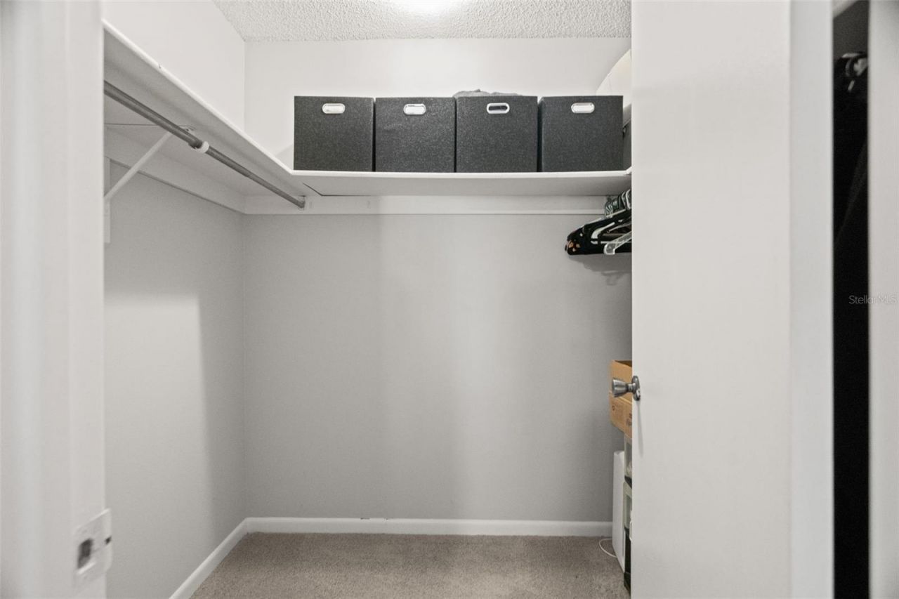 6322 Treetop Circle, Temple Terrace, FL 33617 Photo