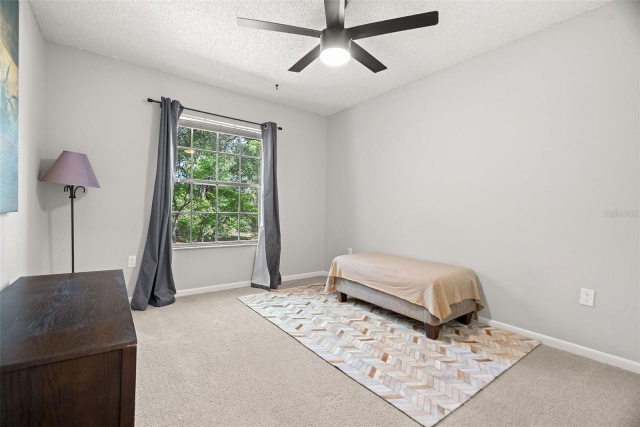 6322 Treetop Circle, Temple Terrace, FL 33617 Photo