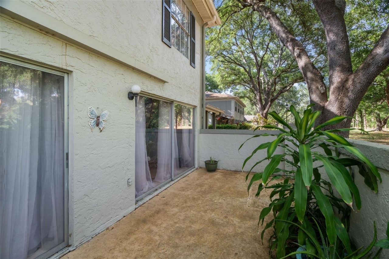 6322 Treetop Circle, Temple Terrace, FL 33617 Photo