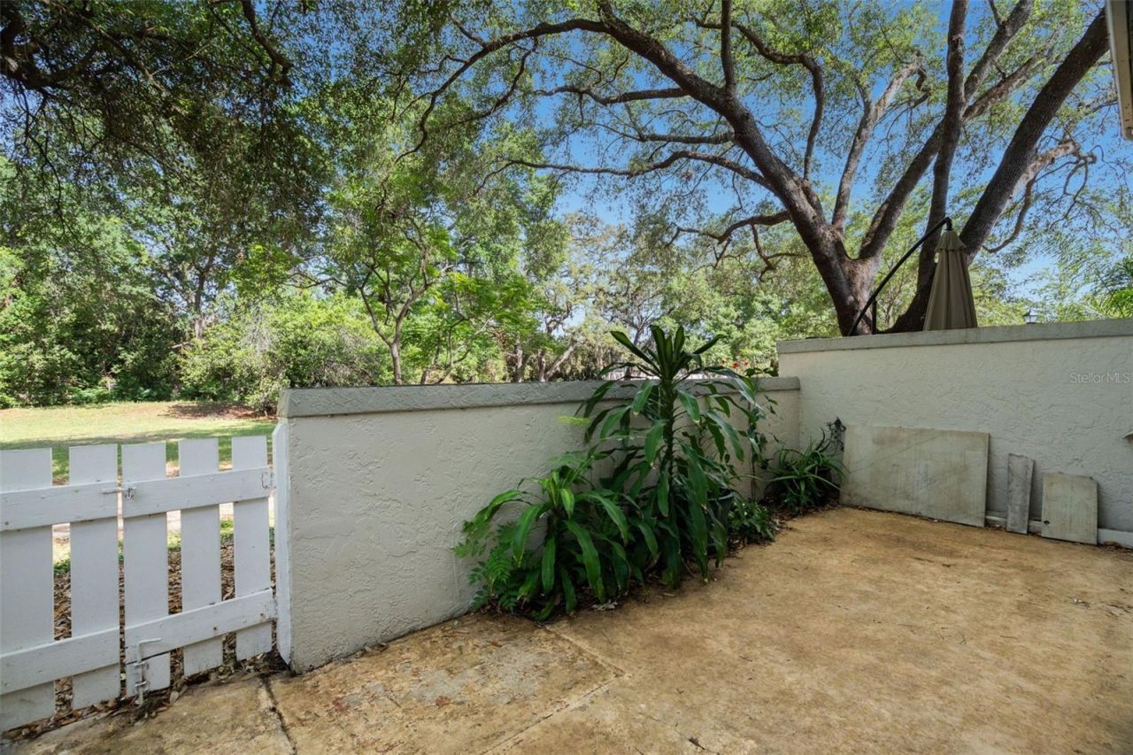 6322 Treetop Circle, Temple Terrace, FL 33617 Photo