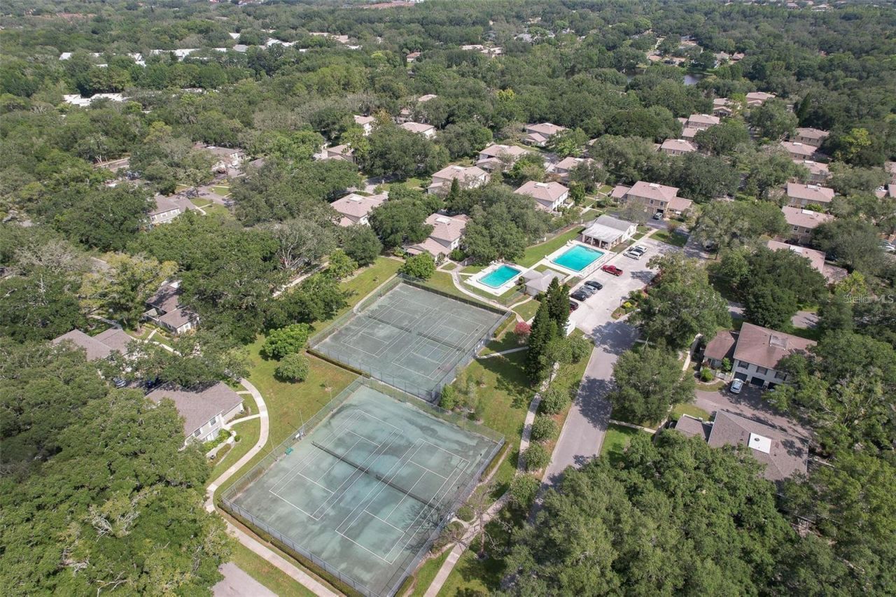 6322 Treetop Circle, Temple Terrace, FL 33617 Photo