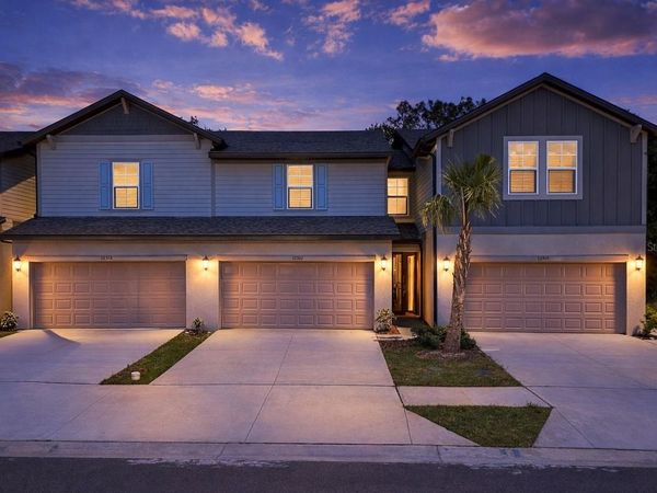 32502 LIMITLESS PLACE, WESLEY CHAPEL, FL 33545