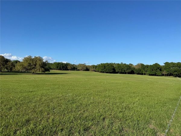 4401 GRIFFIN VIEW DRIVE , LADY LAKE, FL 32159