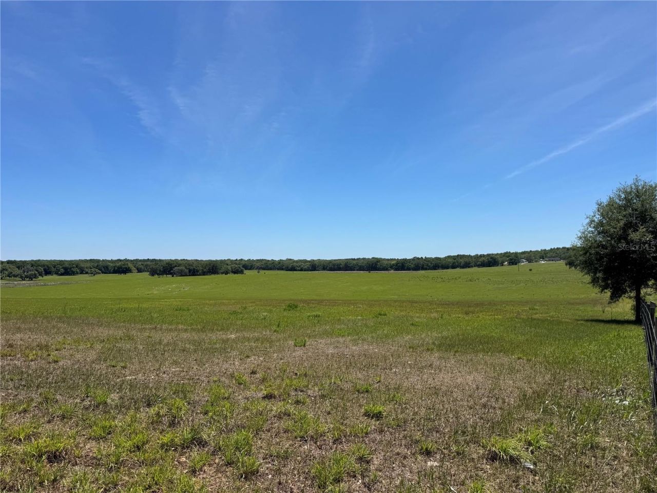 4401 Griffin View Drive , Lady Lake, FL 32159 Photo