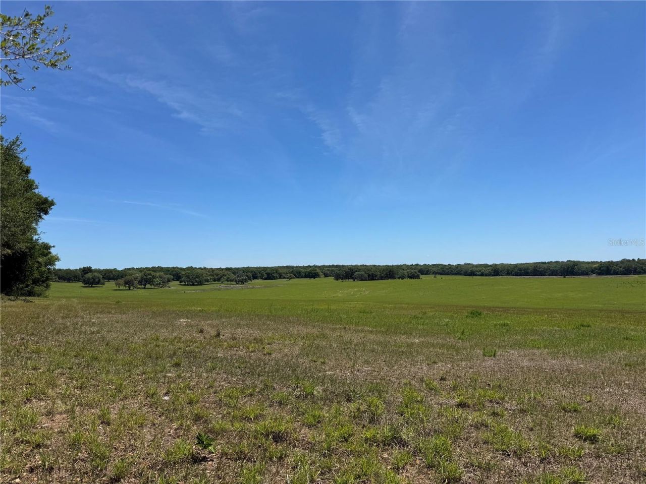 4401 Griffin View Drive , Lady Lake, FL 32159 Photo