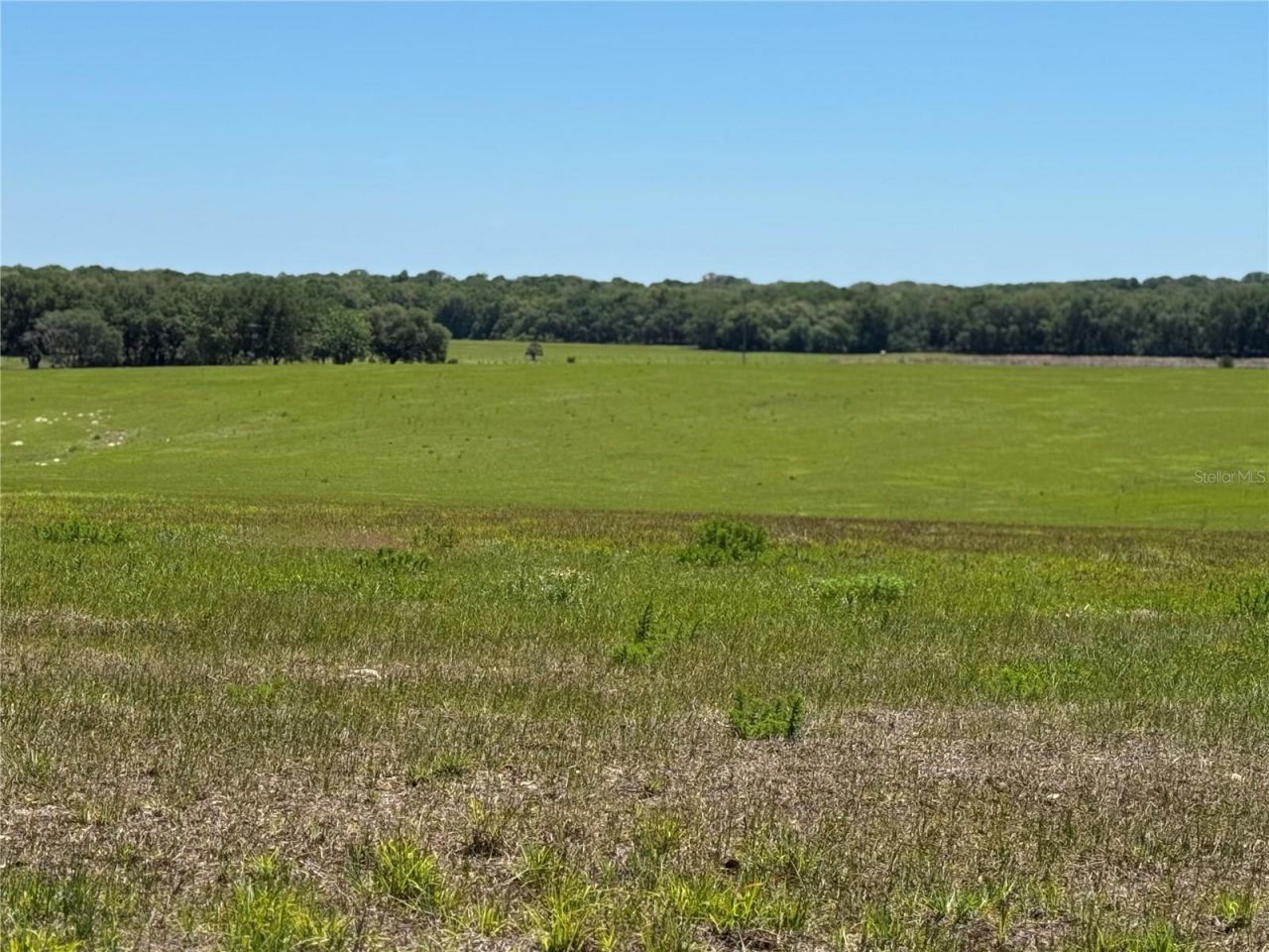 4401 Griffin View Drive , Lady Lake, FL 32159 Photo