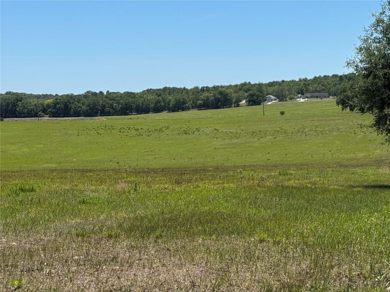 4401 Griffin View Drive , Lady Lake, FL 32159 Photo