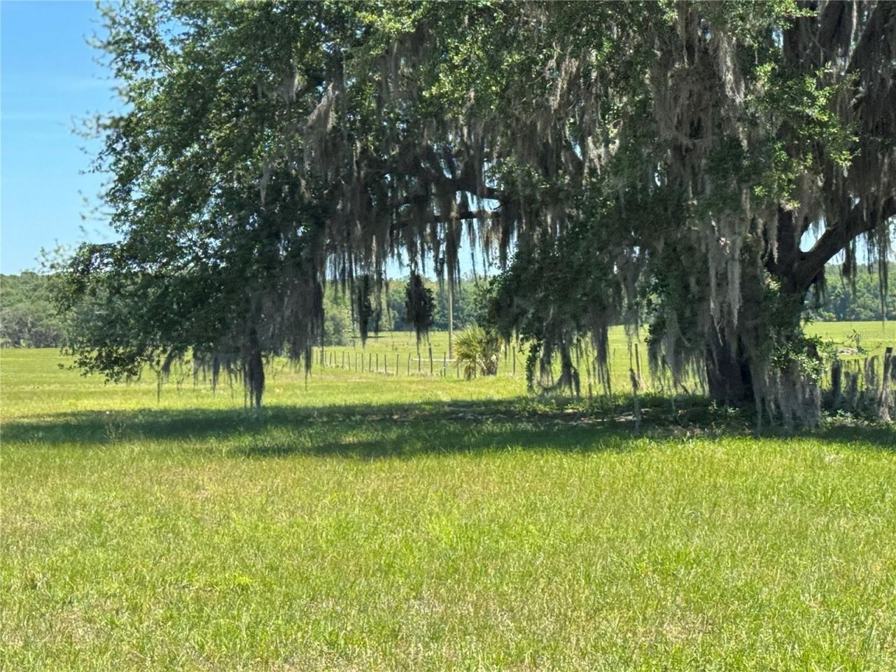 4401 Griffin View Drive , Lady Lake, FL 32159 Photo