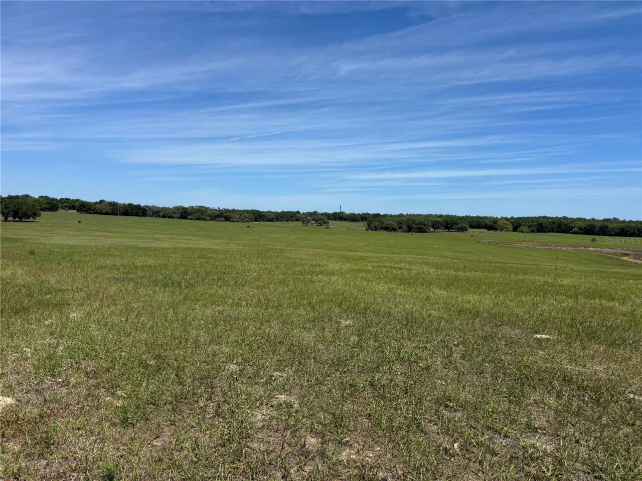 4401 Griffin View Drive , Lady Lake, FL 32159 Photo