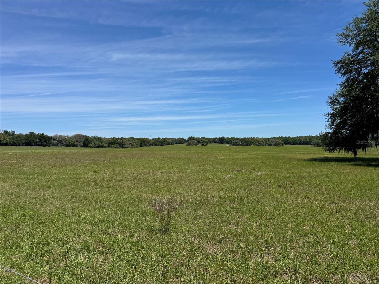 4401 Griffin View Drive , Lady Lake, FL 32159 Photo