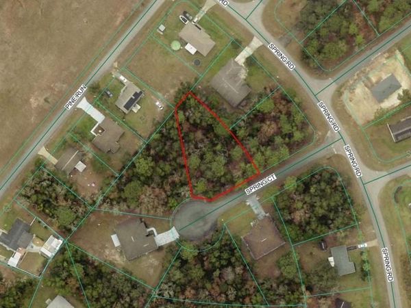 TBD LOT 20 SPRING LANE , OCALA, FL 34472