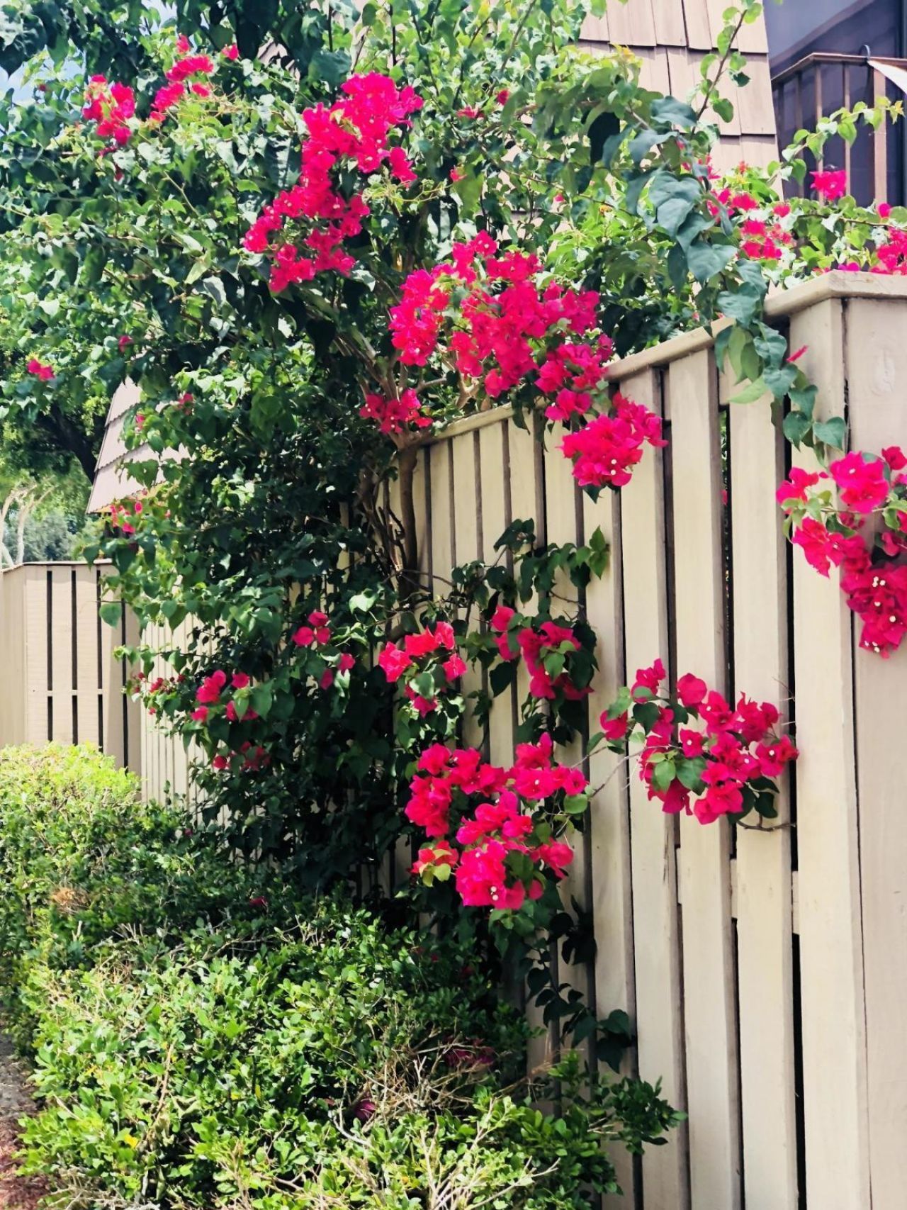 1120 11th Court, Palm Beach Gardens, FL 33410 Photo