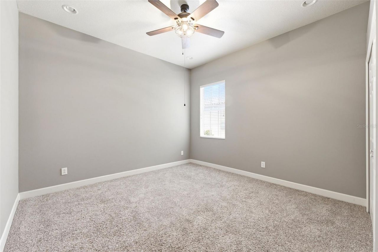 11627 Bristol Chase Drive, Tampa, FL 33626 Photo