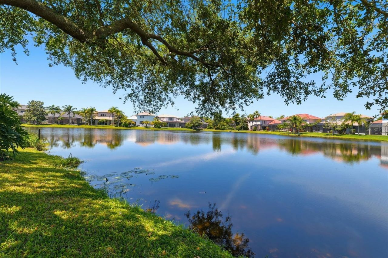 11627 Bristol Chase Drive, Tampa, FL 33626 Photo