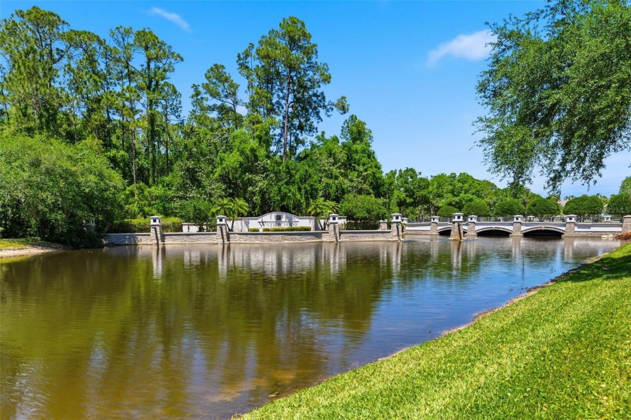 11627 Bristol Chase Drive, Tampa, FL 33626 Photo
