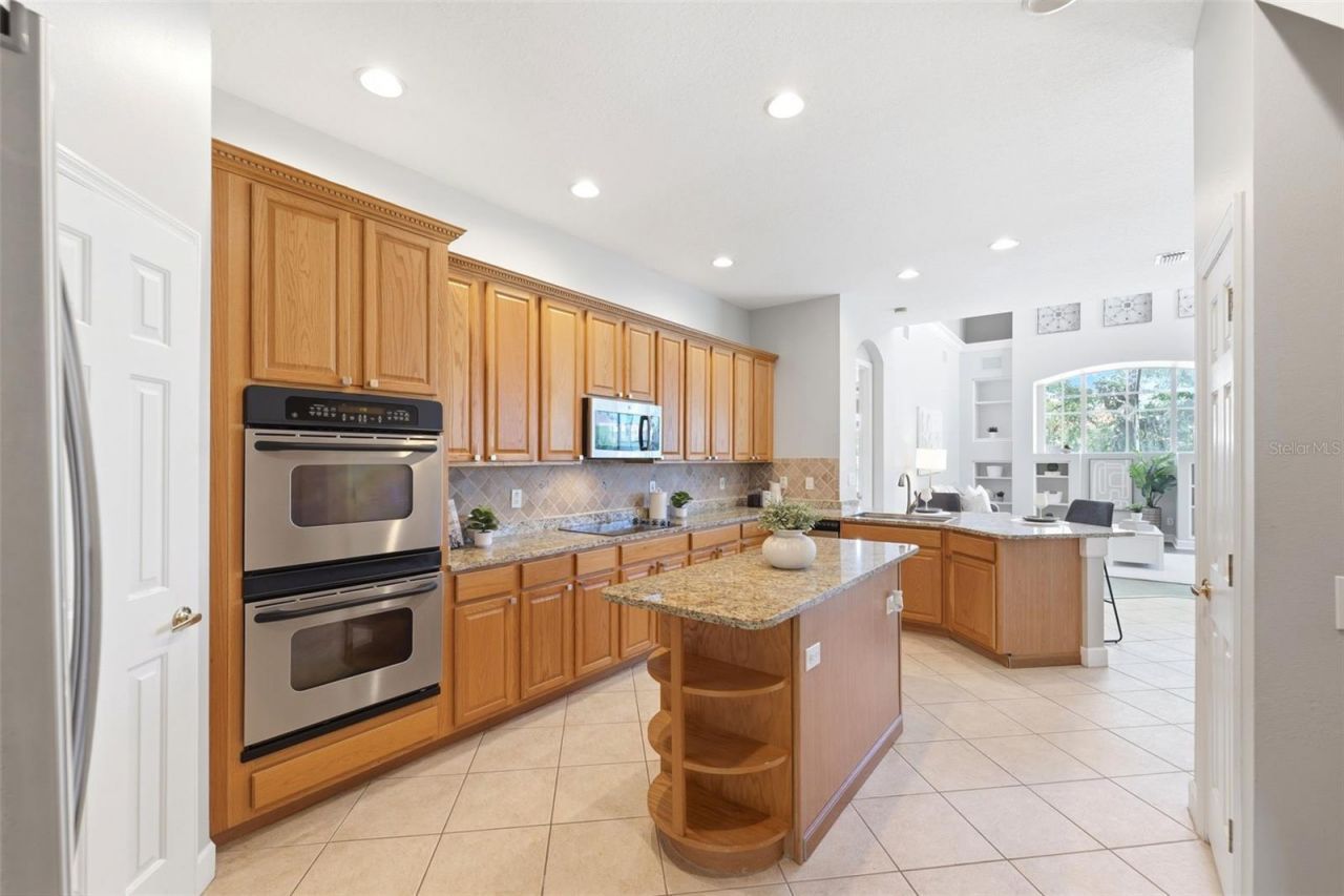 11627 Bristol Chase Drive, Tampa, FL 33626 Photo
