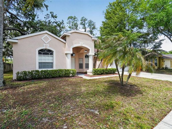 3725 HOLLOW WOOD DRIVE , VALRICO, FL 33596
