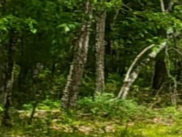 0 County Route 312 Road , Colonie, NY 12045