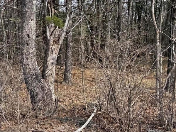 0 County Route 312, Berne, NY 12041