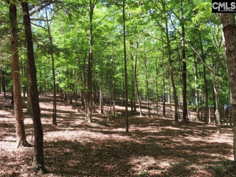 201 Meadowlake Road  Photo 12