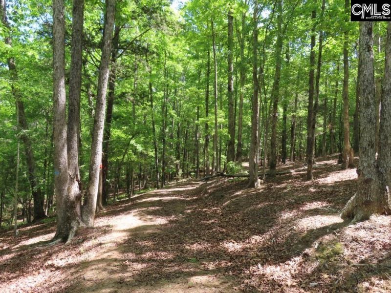 201 Meadowlake Road  Photo 29