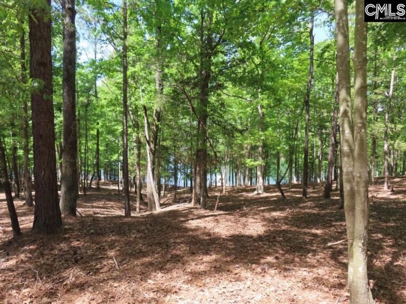 201 Meadowlake Road  Photo 39