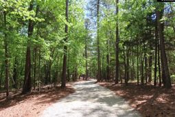 201 Meadowlake Road  photo 4