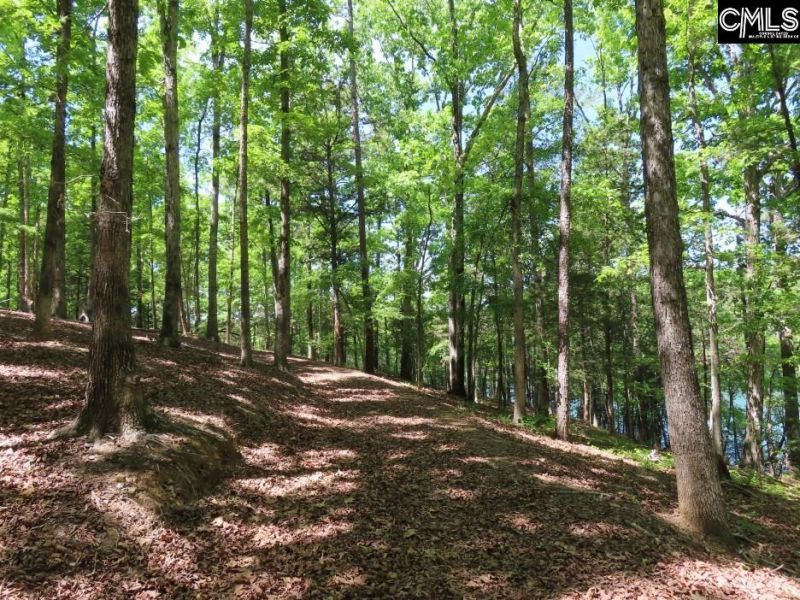 201 Meadowlake Road  Photo 49