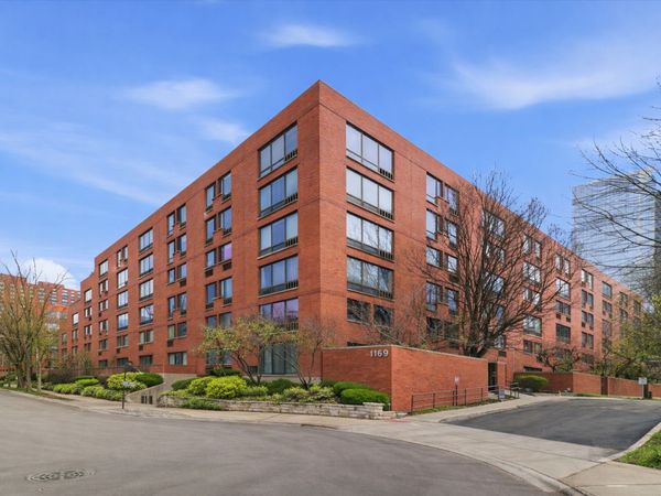 1169 S Plymouth Court , Unit 118, Chicago, IL 60605