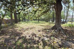 1408 Green St.  photo 4