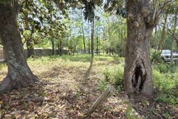 1408 Green St.  photo 4