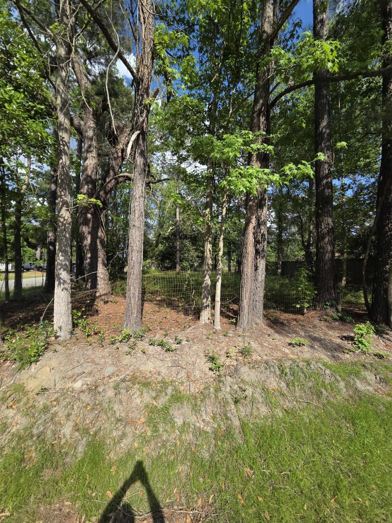 1408 Green St.  Photo 4