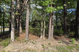 1408 Green St.  photo 4