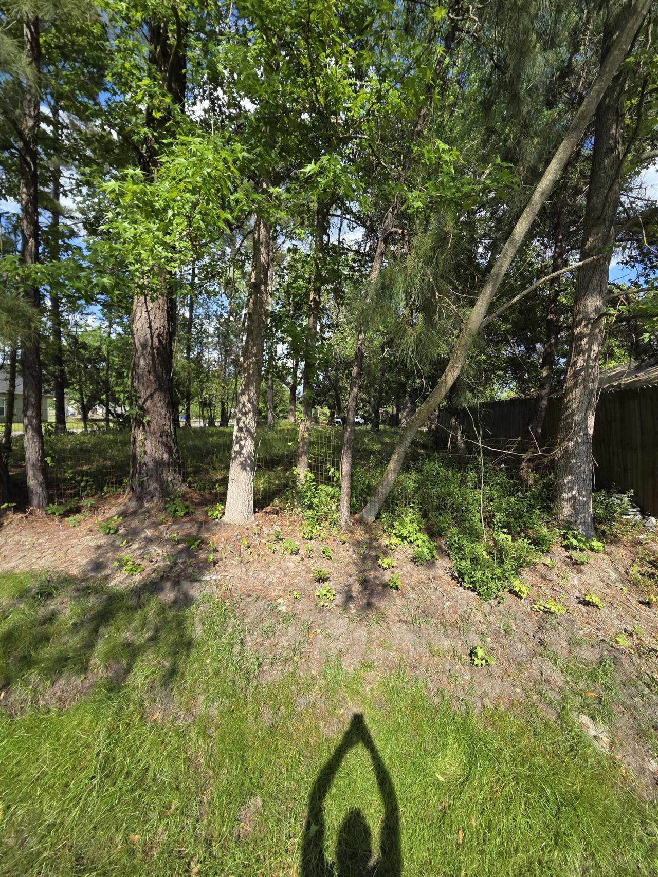 1408 Green St.  Photo 5