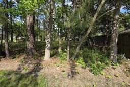 1408 Green St.  photo 4