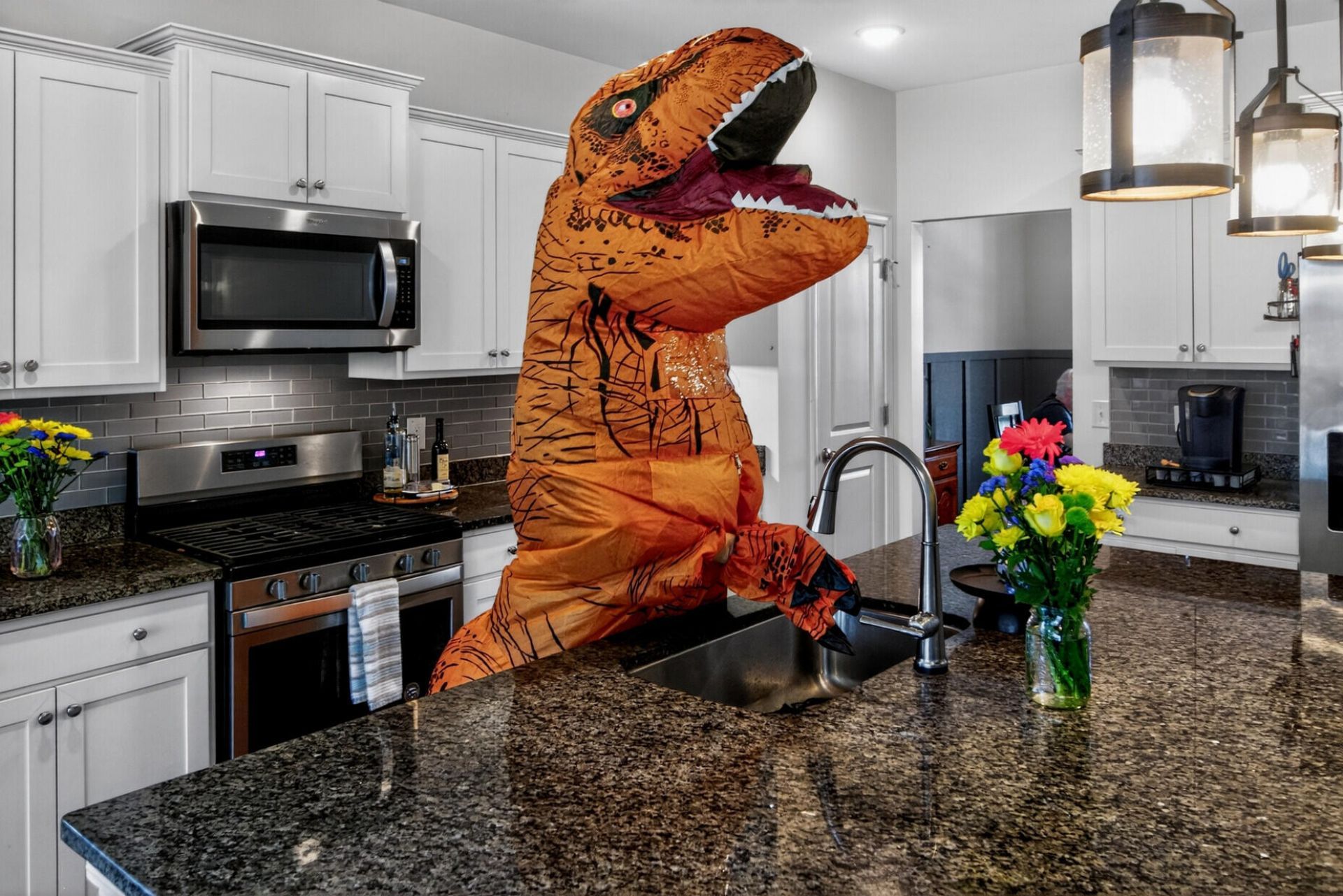 403 Ribiero Drive Photo 10