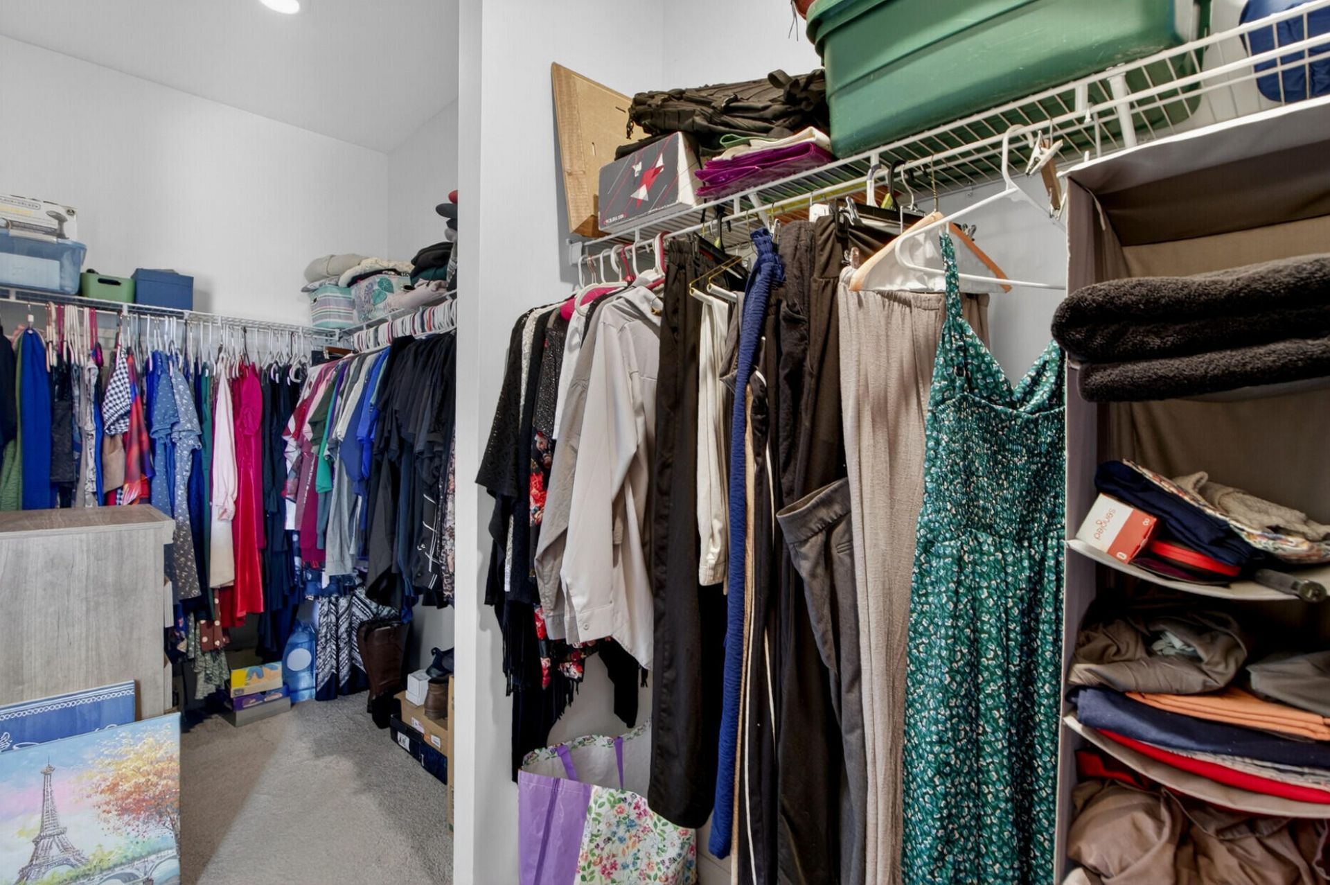 403 Ribiero Drive Photo 18