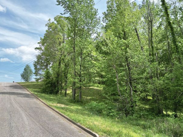 00 Cardinal Estate Drive , Lexington, TN 38351