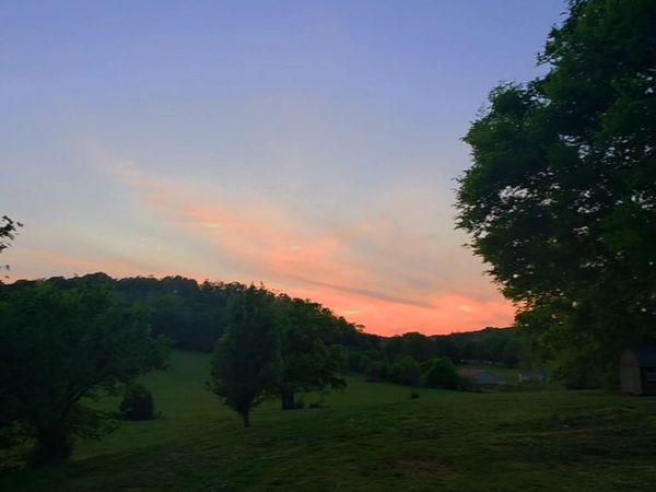 1641 Long Branch Ln, Mount Pleasant, TN 38474