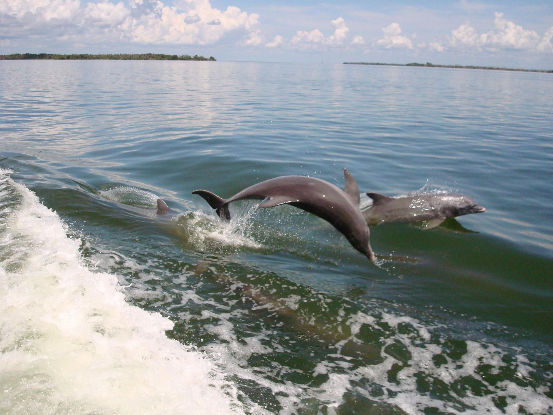 1256 S Seas Plantation Rd, Unit 1256, Captiva, FL 33924 Photo