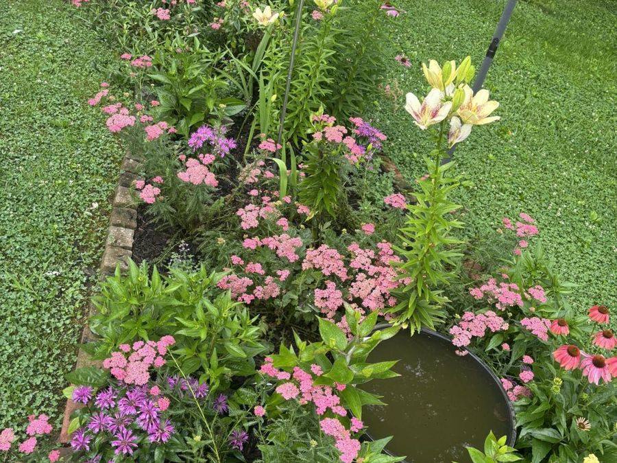 Property Image 55