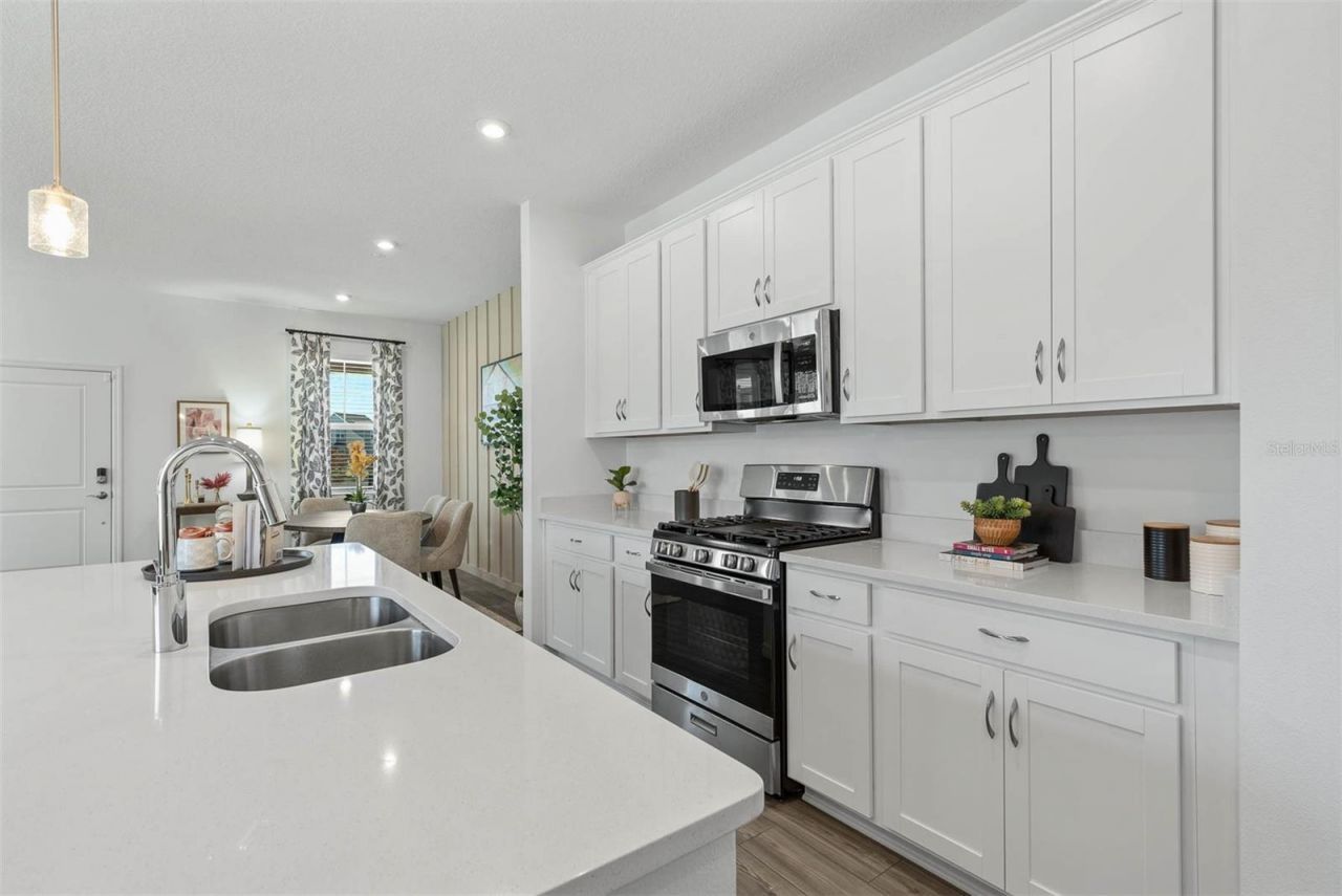 4698 Inner World Lane, Wesley Chapel, FL 33543 Photo