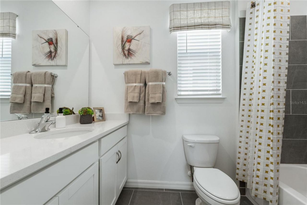 4698 Inner World Lane, Wesley Chapel, FL 33543 Photo