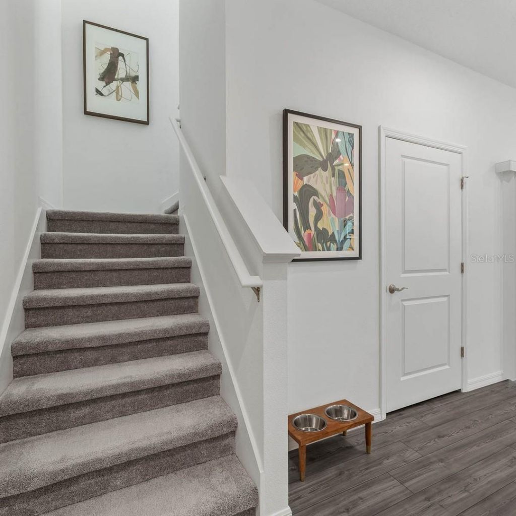 4698 Inner World Lane, Wesley Chapel, FL 33543 Photo