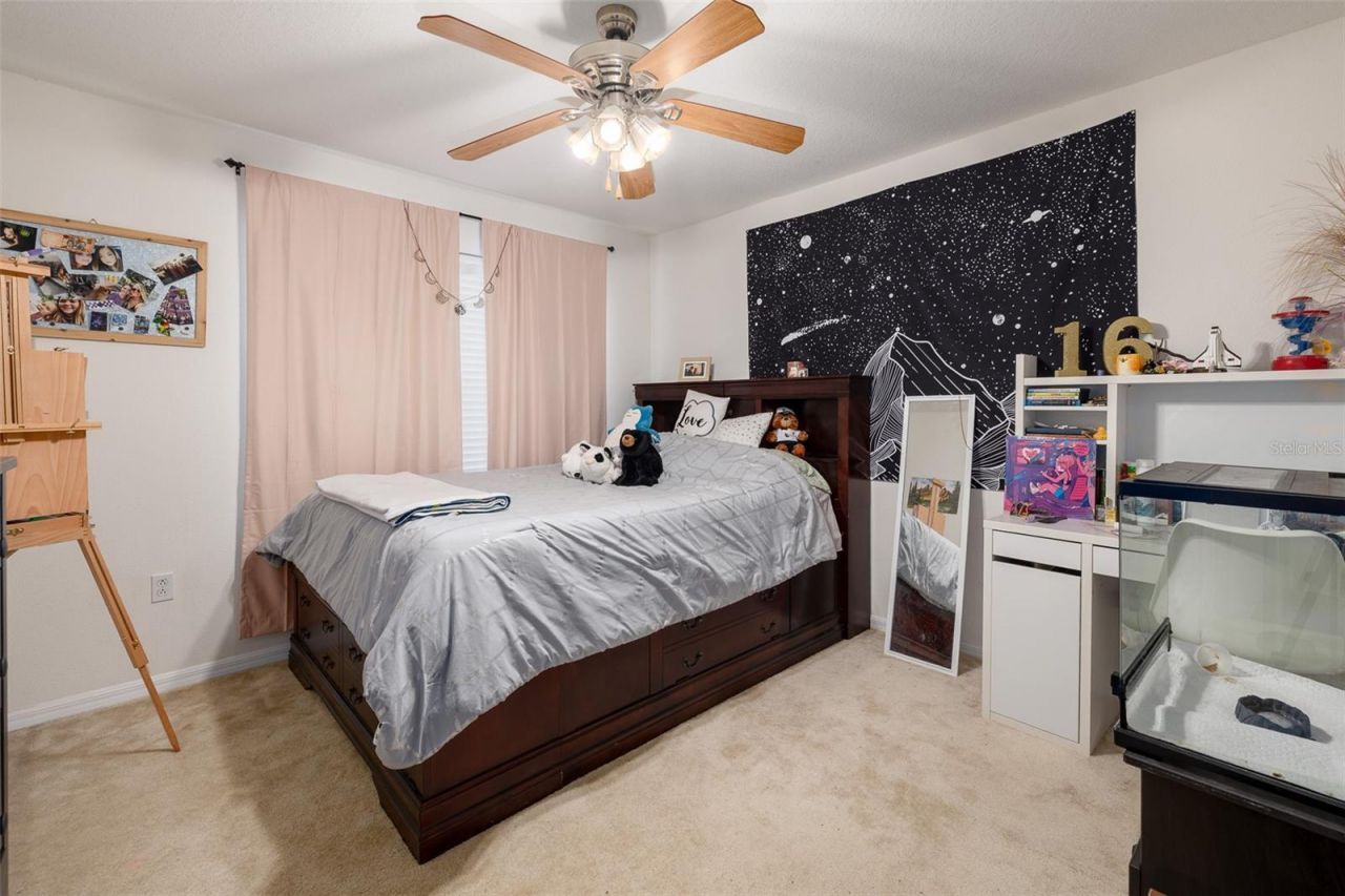 9004 Grand Bayou Court, Tampa, FL 33635 Photo