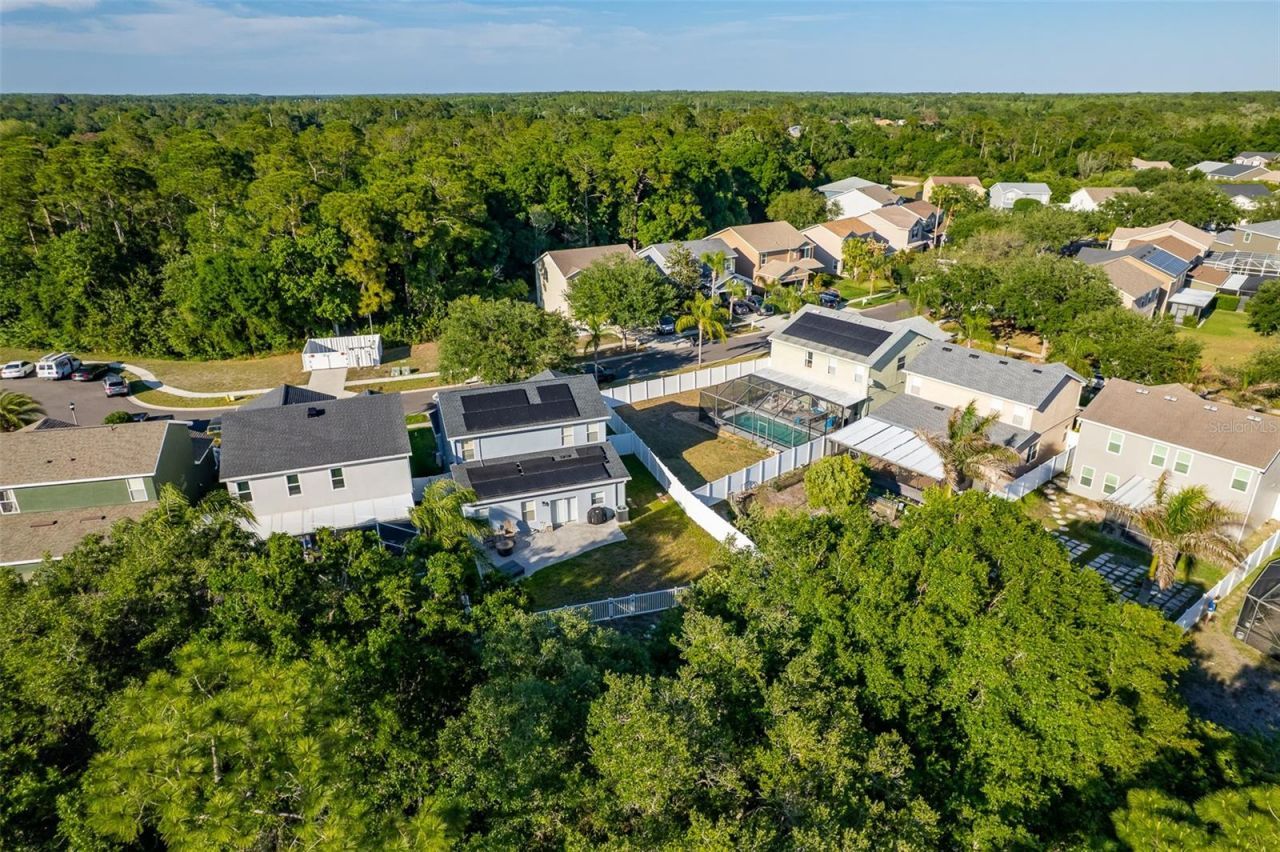 9004 Grand Bayou Court, Tampa, FL 33635 Photo